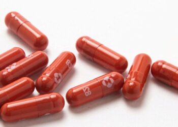 Francia revoca el uso de la píldora antiviral de Merck