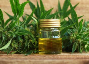 CBD, la nueva moda