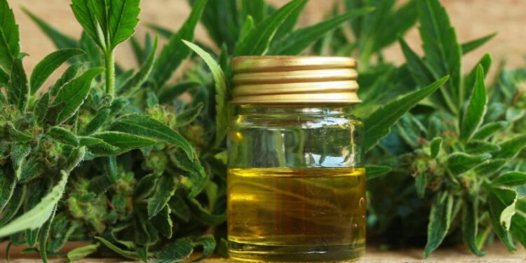 CBD, la nueva moda
