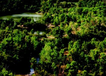 la naturaleza de Utebo