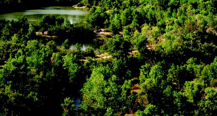 la naturaleza de Utebo