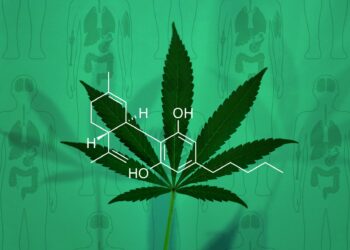 ¿Cómo está cambiando el Aceite de CBD el sector Salud y Bienestar?