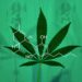 ¿Cómo está cambiando el Aceite de CBD el sector Salud y Bienestar?