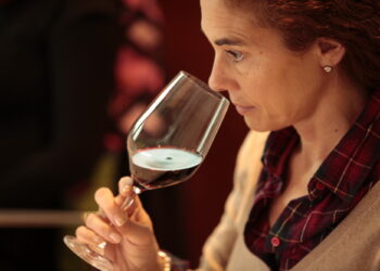 La guía completa para disfrutar al máximo tu experiencia de cata de vinos