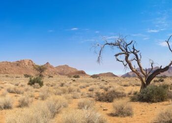 Descubre la Aventura Única de un Safari en Bicicleta: Guía Completa y Consejos Útiles