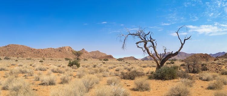 Descubre la Aventura Única de un Safari en Bicicleta: Guía Completa y Consejos Útiles