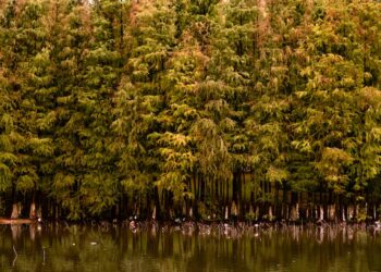 Guía Única para tu Próxima Visita a Parques Naturales: Consejos y Recomendaciones