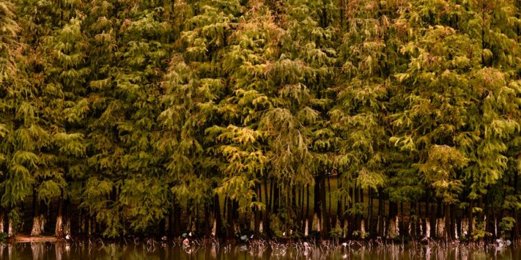 Guía Única para tu Próxima Visita a Parques Naturales: Consejos y Recomendaciones