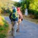 VARIANTES CAMINO DE SANTIAGO
