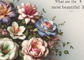 ¿Cuáles son las 5 flores más bonitas?
