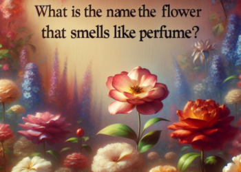 ¿Cómo se llama la flor que huele a perfume?