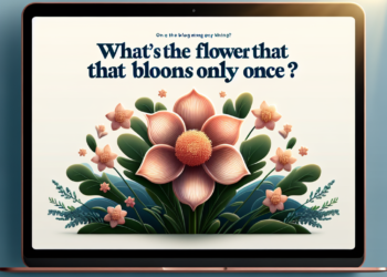 ¿Cuál es la flor que florece una sola vez?