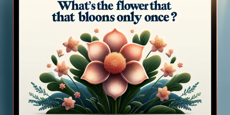¿Cuál es la flor que florece una sola vez?