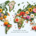 ¿Qué país tiene las flores más hermosas del mundo?